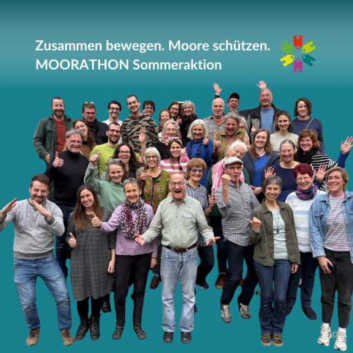 Zusammen bewegen. Moore schützen. Moorathon Sommeraktion. // Wohnprojekt Konstanz eG